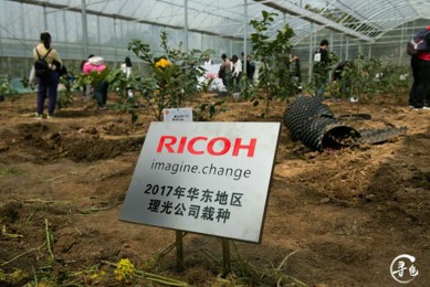 植樹(shù)活動(dòng)